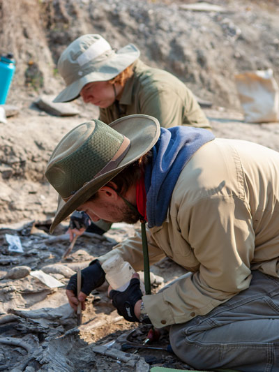 A still from episode five of Walking with Dinosaurs shows an interaction between a juvenile pachyrhinosaur and his mother. The episode also features USask researchers at a dig site in Alberta. (Photo: BBC Studios)