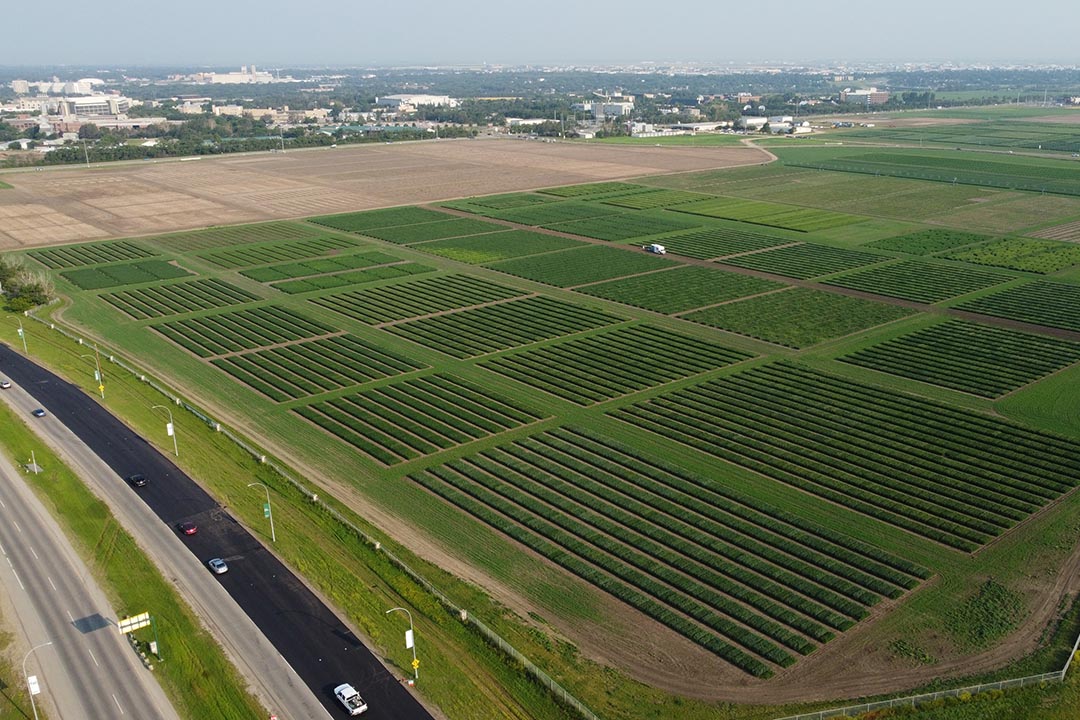 USask research fields near campus in Saskatoon  