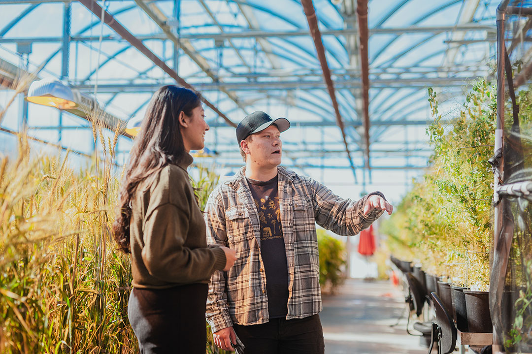 Two individuals in a sunny greenhouse