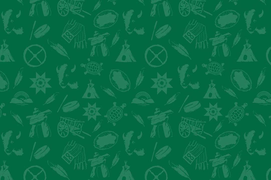 indigenous symbols on a green background