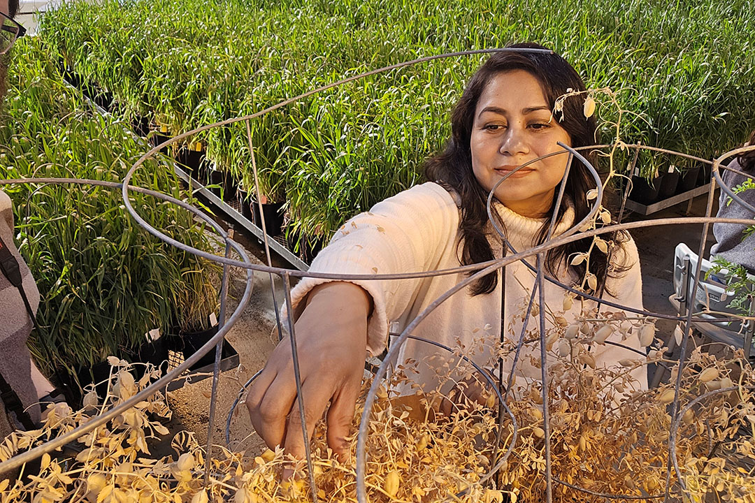 A woman with light brown skin and hair is in a greenhouse looking at plants. She has a slight smile on her face.