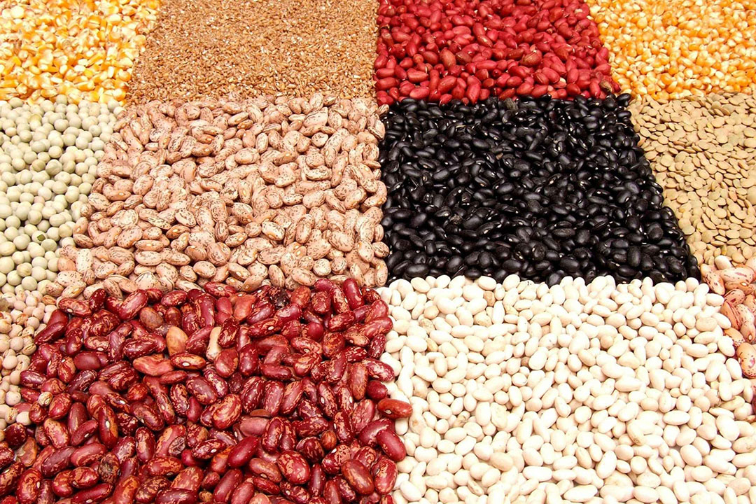 An image of different coloured beans, lentils and chickpeas.