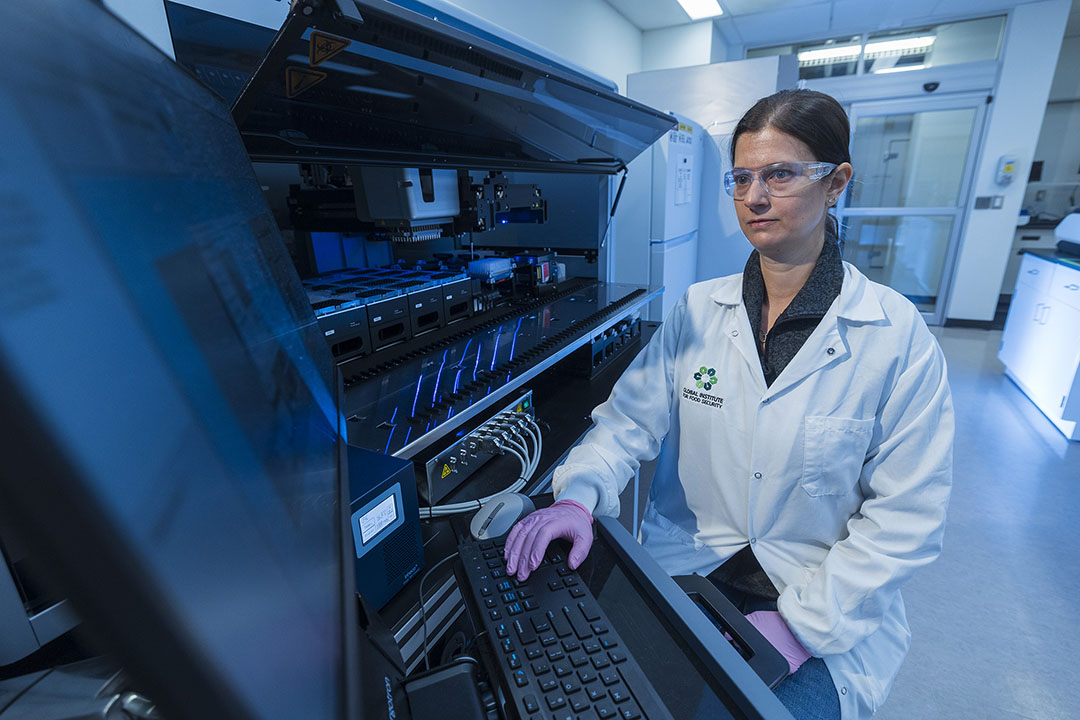 The Omics and Precision Analytics Laboratory in the Global Institute for Food Security at the University of Saskatchewan provides genomics, transcriptomics, and bioinformatics services to researchers. (Photo: GIFS)