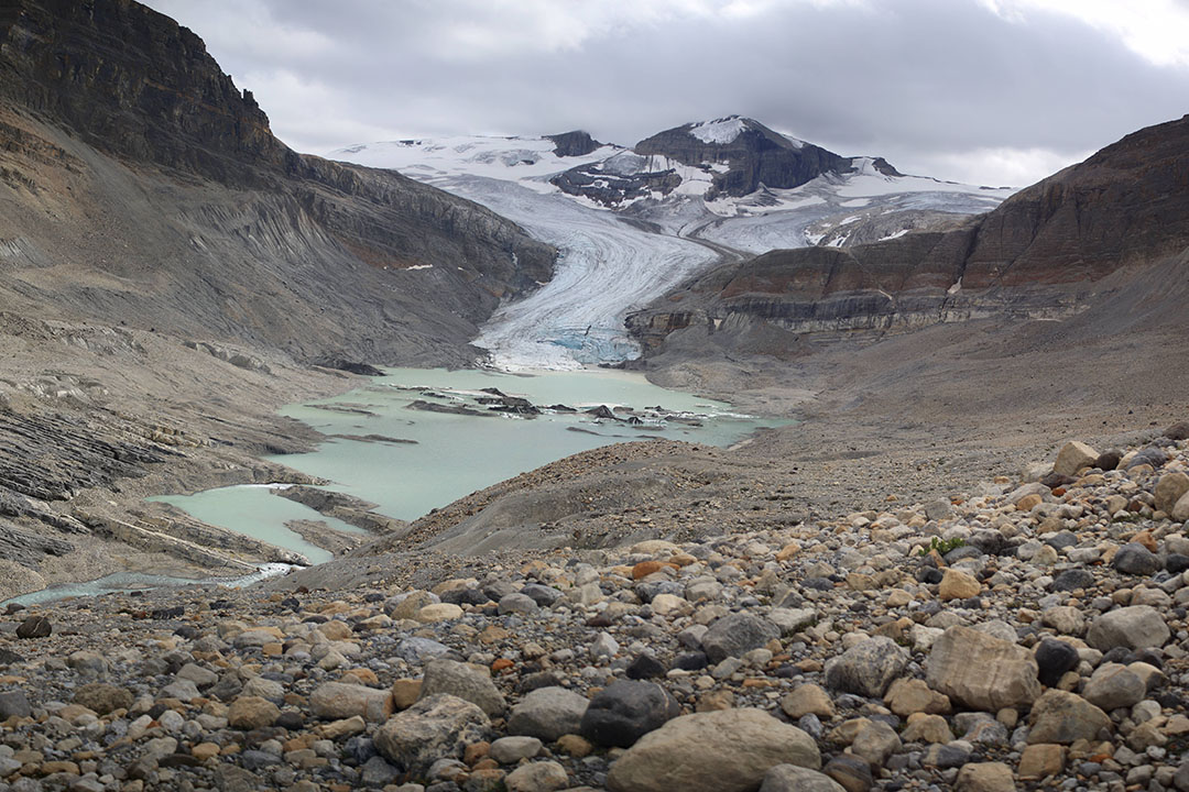 Peyto Glacier at Lake Munro