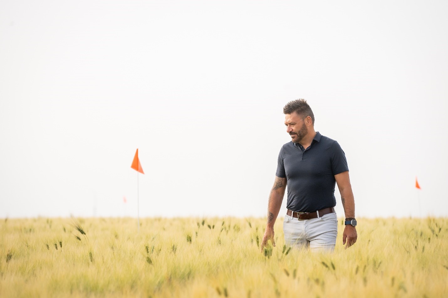 Dr. Valentyna Klymiuk (PhD), a research officer at USask’s Crop Development Centre (CDC), is studying wild wheat varieties that carry resistance to these harmful pathogens. (Photo: Chris Hendrickson)