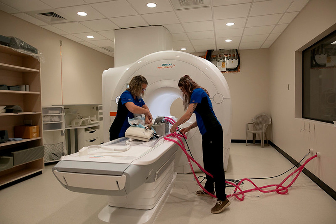 Donors contributed more than half the cost of purchasing and installing a new MRI unit (above) and linear accelerator at the WCVM Veterinary Medical Centre. (Photo: Christina Weese)
