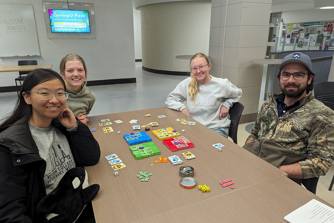 Left to right: WCVM students Zihan Li, Kyona Bruns, Samantha Nixon and Kree Byrne play their honey bee version of Settlers of Catan. (Photo: Rigel Smith)