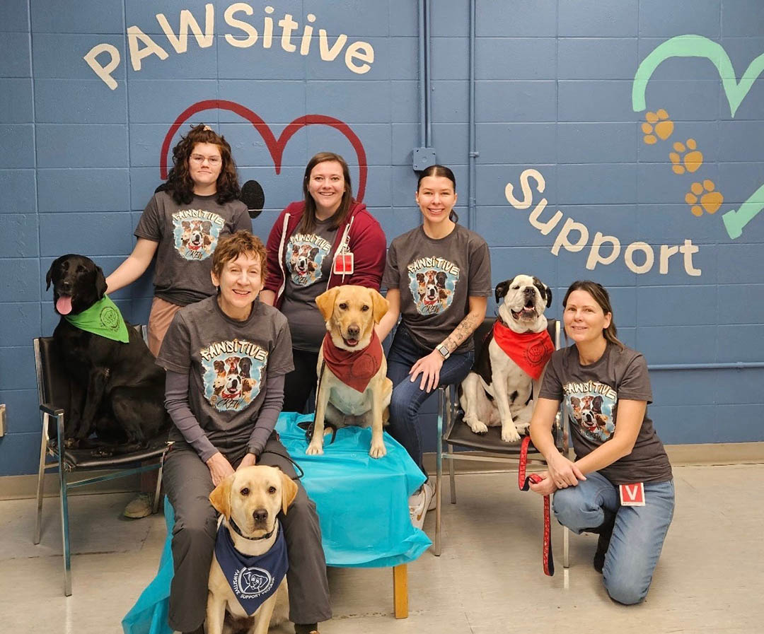 The PAWsitive Support Program team features graduate students, program staff, and USask and U of R faculty members and their dogs. (Photo: Submitted)