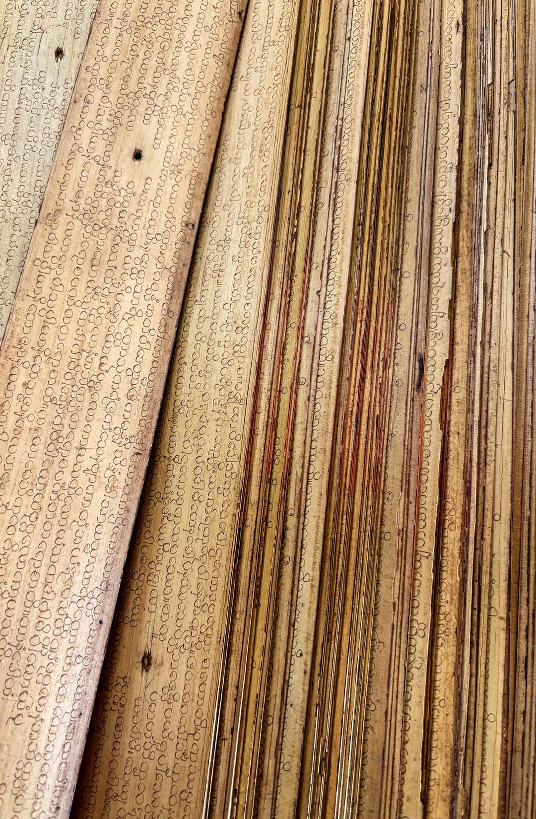 Rendering of a 3D radiance-field capture of the Henry Taube Lecture Theatre in the Thorvaldson Building at the University of Saskatchewan. 