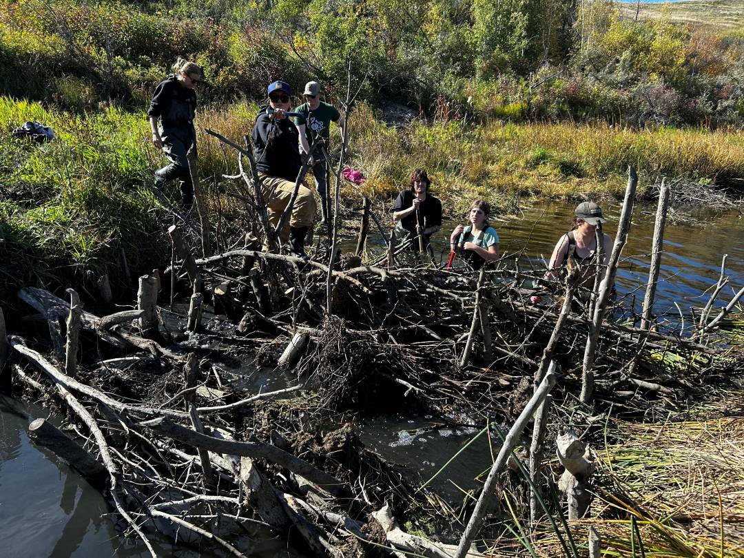 Students from the SLSC 450.3: Practical and Applied Restoration class, taught by Dr. Katherine Stewart (PhD), were excited to visit Wanuskewin Heritage Park in September. (Photo: Katherine Stewart)