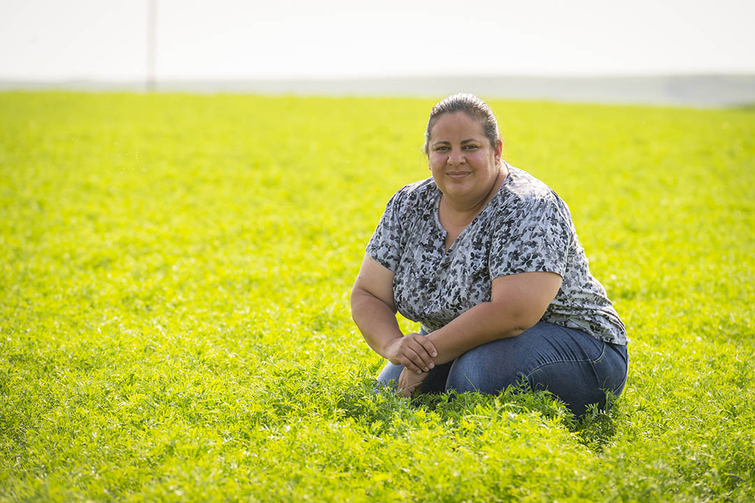 Dr. Ana Vargas (PhD) is the Agri-Food Innovation Chair, Lentil and Faba Bean at the University of Saskatchewan. (Photo: Chris Hendrickson)