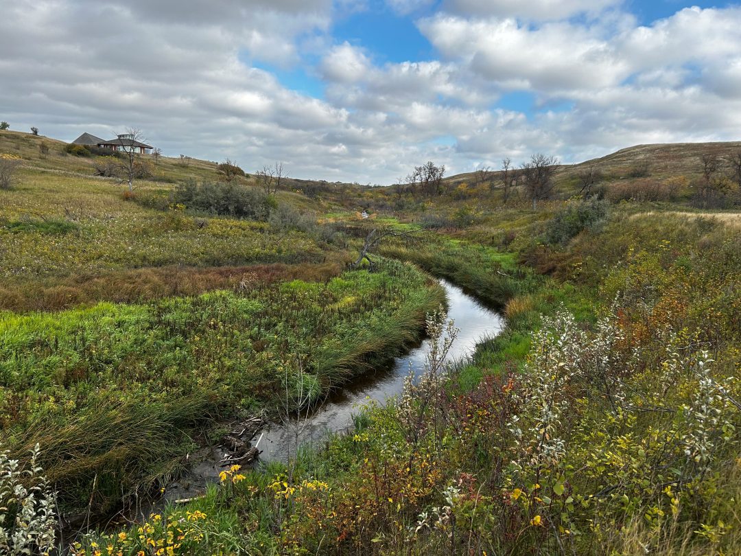 Students from the SLSC 450.3: Practical and Applied Restoration class, taught by Dr. Katherine Stewart (PhD), were excited to visit Wanuskewin Heritage Park in September. (Photo: Katherine Stewart)