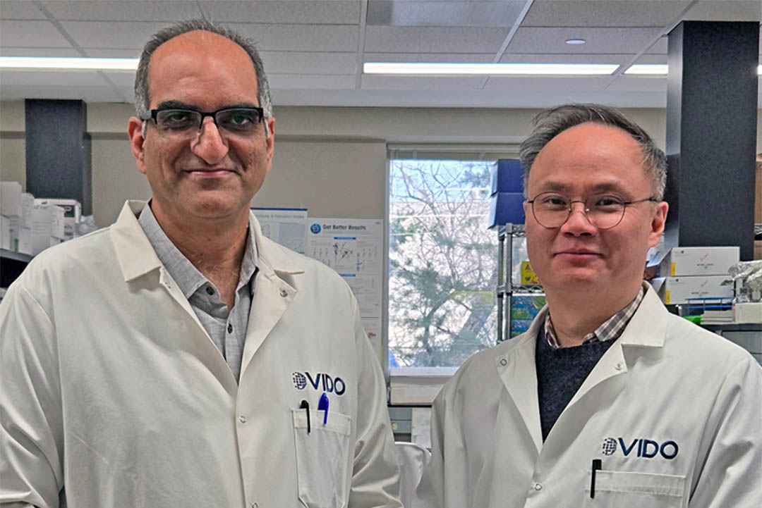 VIDO researchers Dr. Neeraj Dhar (PhD), left, and Dr. Jeffrey Chen (PhD). (Photo: Caitlin Gill)