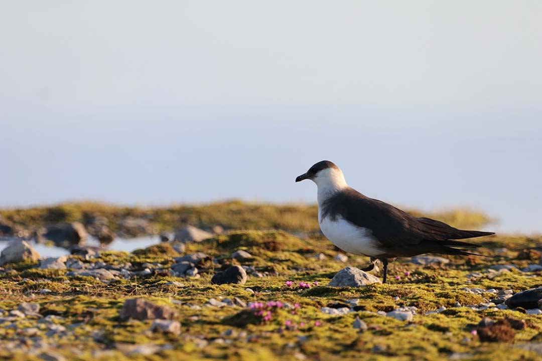 Rendering of a 3D radiance-field capture of the Henry Taube Lecture Theatre in the Thorvaldson Building at the University of Saskatchewan. 