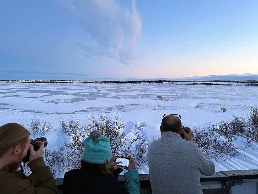 A man poses in a touque and a parka in a winter setting