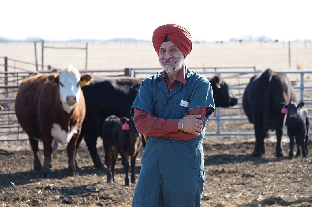 Dr. Jaswant Singh (DVM, PhD), researcher at USask’s Western College of Veterinary Medicine (WCVM), has spent his career researching the reproductive management of cattle (Photo: Erin Matthews/USask)