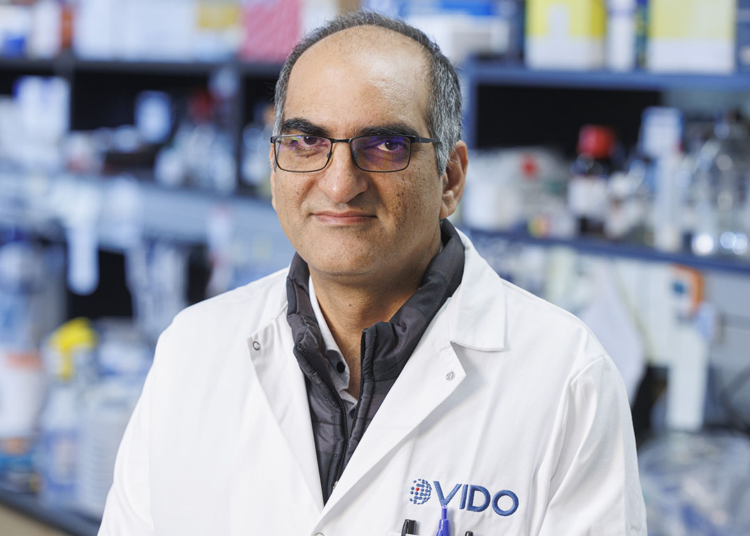 USask’s Dr. Neeraj Dhar (PhD) is using immune organoids to advance his tuberculosis research at VIDO. (Photo: VIDO/Submitted)
