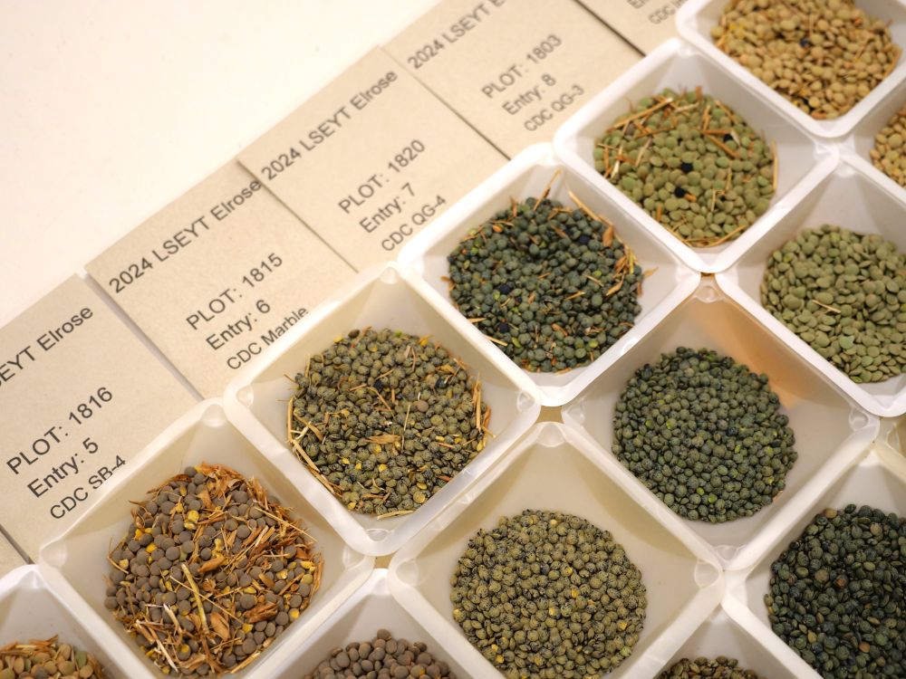 USask supports exploration of new Pulse Protein Centre of Excellence in India with government partners