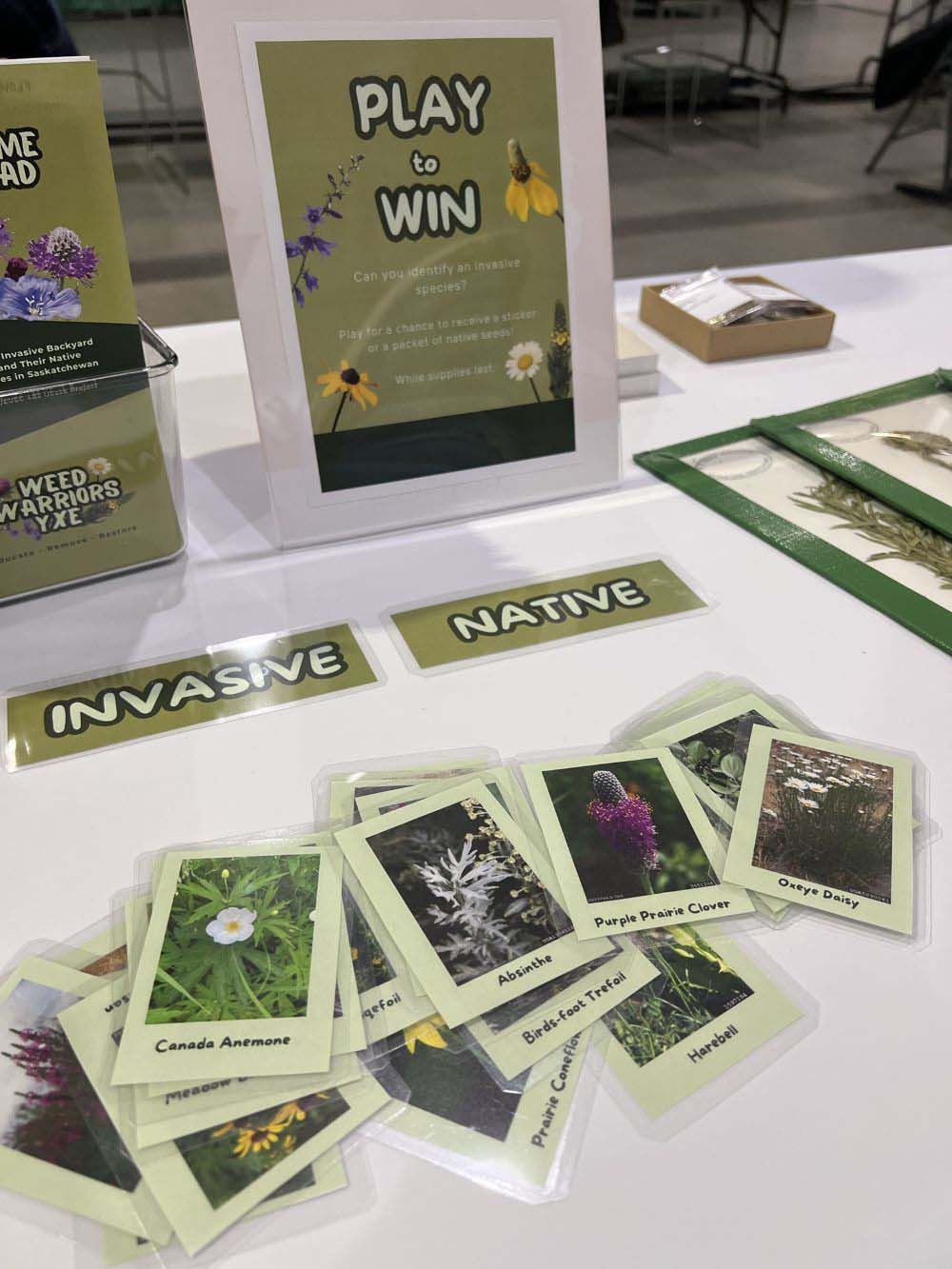 Where Research Takes Roots is one of eight capstone projects completed by undergrad students in the EVSC 485.3 Environmental Science Capstone and ENVS 401.3 Sustainability in Action courses. (Photo: Submitted) 