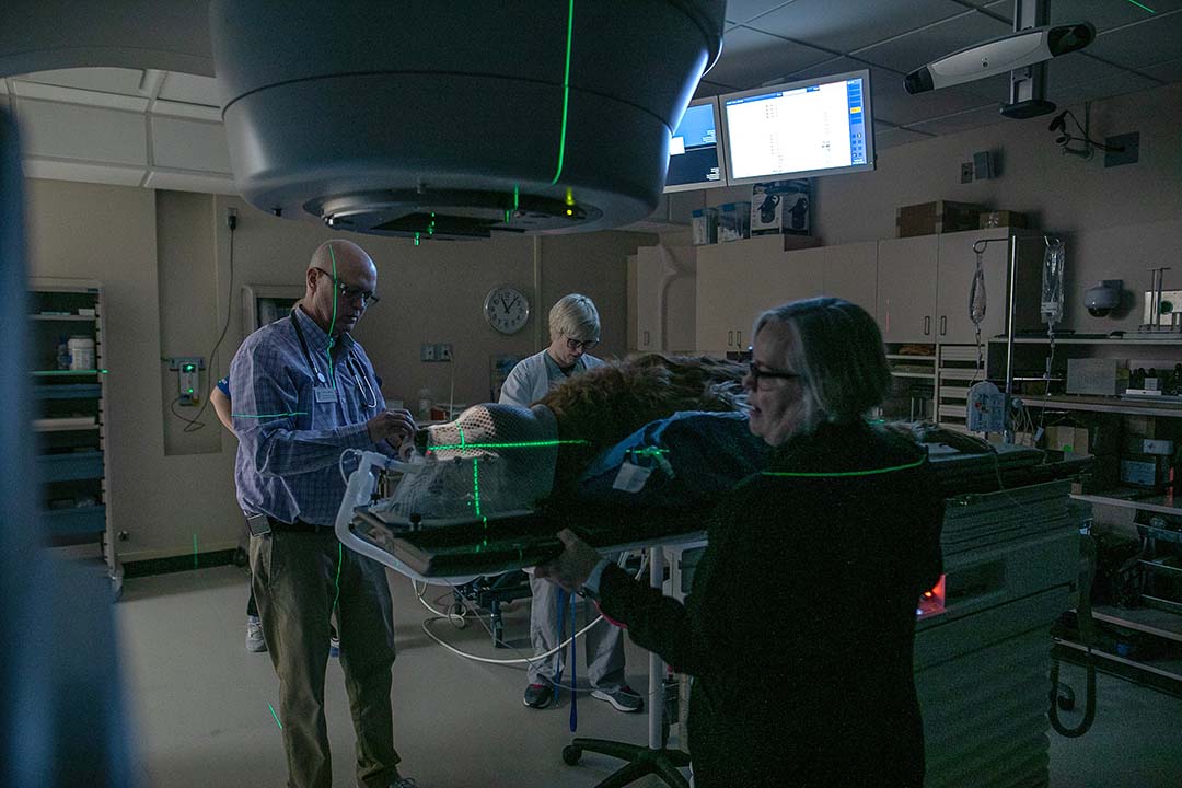 New radiation oncologist and equipment strengthen Veterinary Medical Centre